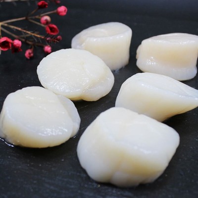 虾夷贝柱（SEA SCALLOP）